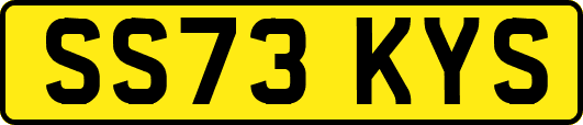 SS73KYS