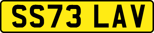 SS73LAV