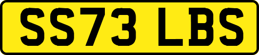 SS73LBS