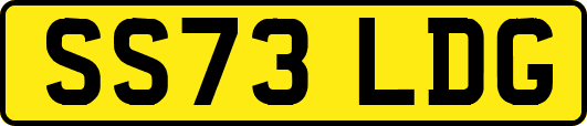 SS73LDG