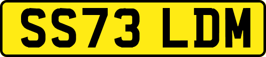 SS73LDM