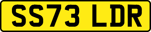 SS73LDR