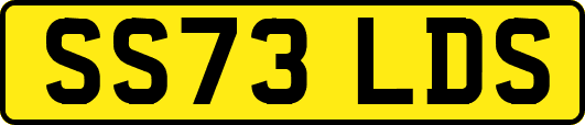 SS73LDS