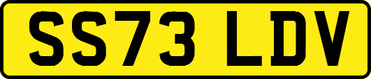 SS73LDV