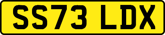 SS73LDX