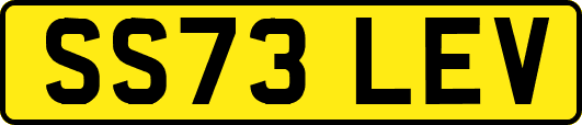 SS73LEV