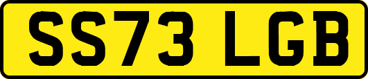 SS73LGB