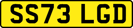 SS73LGD