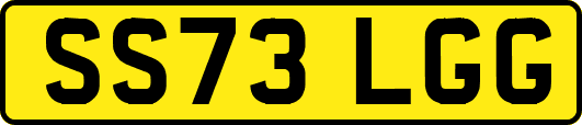 SS73LGG