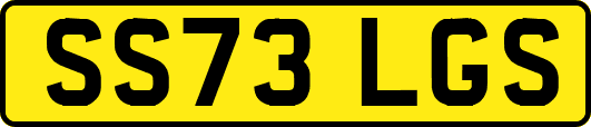 SS73LGS