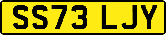 SS73LJY