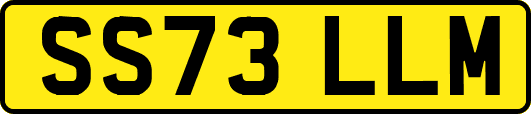 SS73LLM