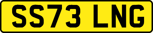 SS73LNG
