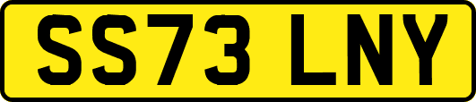 SS73LNY