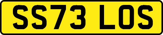 SS73LOS