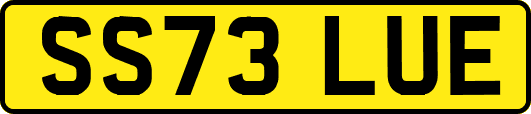 SS73LUE