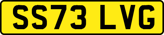 SS73LVG