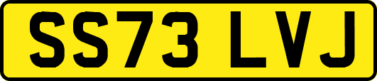 SS73LVJ