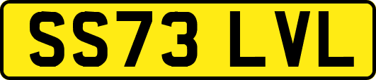 SS73LVL
