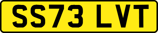 SS73LVT