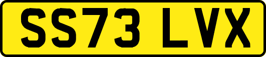 SS73LVX