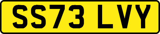 SS73LVY