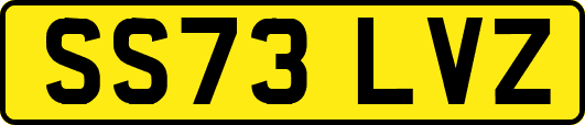 SS73LVZ