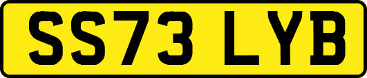 SS73LYB