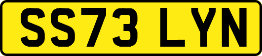 SS73LYN