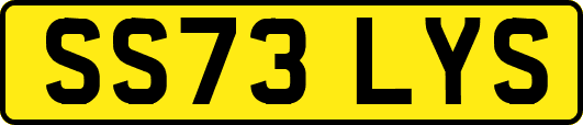 SS73LYS