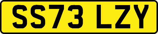 SS73LZY