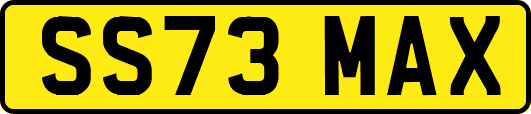 SS73MAX
