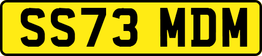 SS73MDM