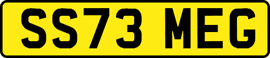 SS73MEG