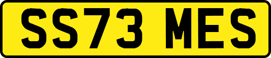 SS73MES