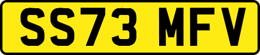 SS73MFV
