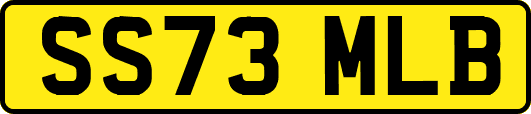 SS73MLB