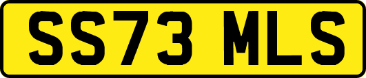 SS73MLS