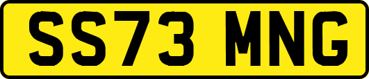 SS73MNG