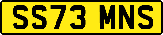 SS73MNS