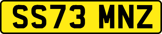 SS73MNZ