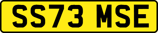SS73MSE