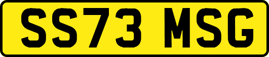 SS73MSG
