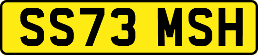 SS73MSH