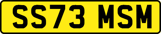 SS73MSM