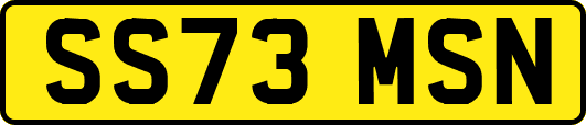 SS73MSN