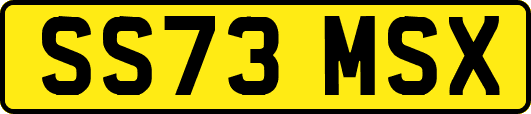 SS73MSX