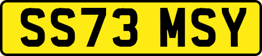 SS73MSY