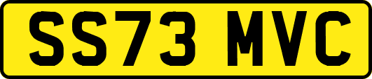 SS73MVC