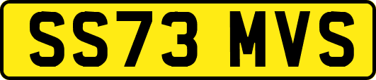SS73MVS